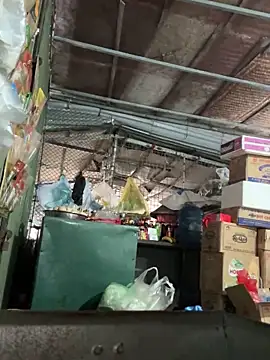 YANINA120 Obrolan Langsung XXX