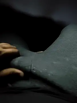 Rikipollavn Webbikameraesitys