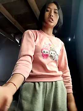 Hoa-tuylip Webcam Show