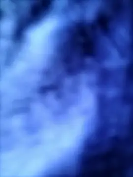 Pitercom 网络视讯表演