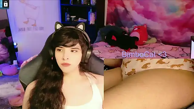 BimboCat webkamerás műsora