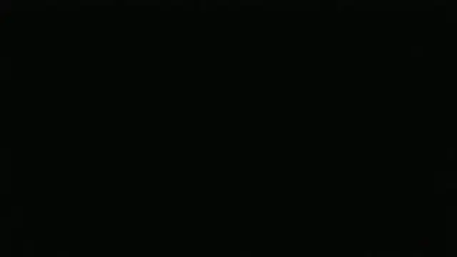 Show modela slavinicum na web-kameri