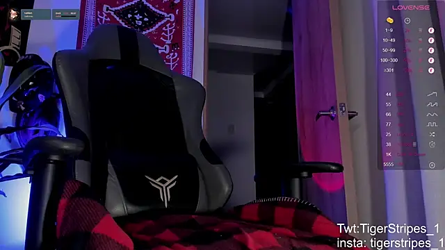 TigerStripes1_ Webcam show