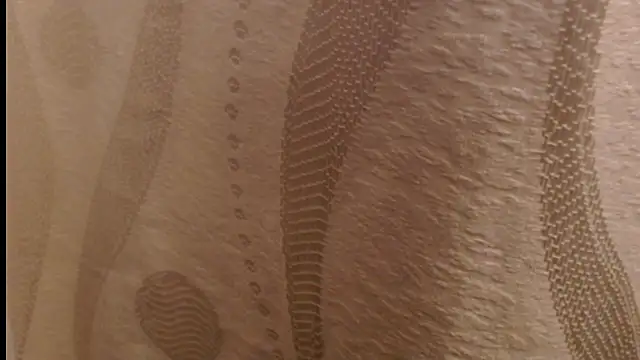 madelene Chat XXX live