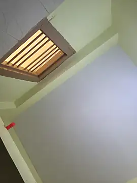 Naveen9100Unity Pertunjukan Webcam