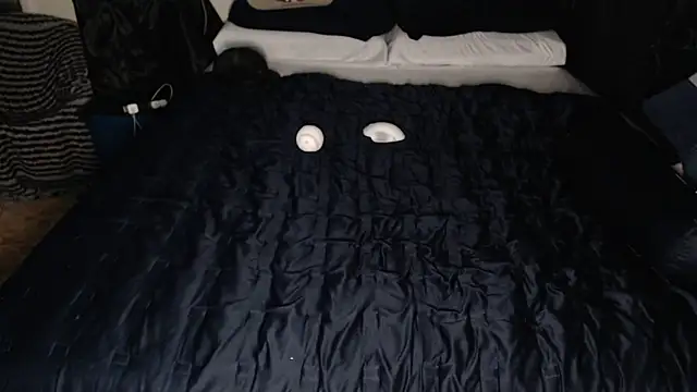 โชว์เว็บแคมของ DaddyRyan1996