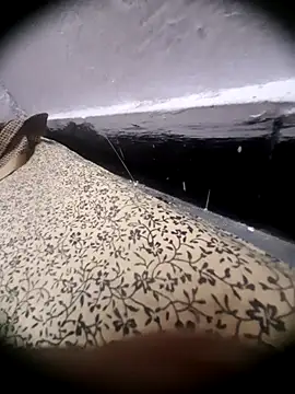 cumboy19 Show Webcam