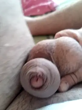 Show de webcam de baipal74