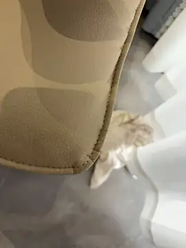 qwe522522 웹캠 쇼