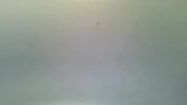 LeDukx Live XXX-Chat