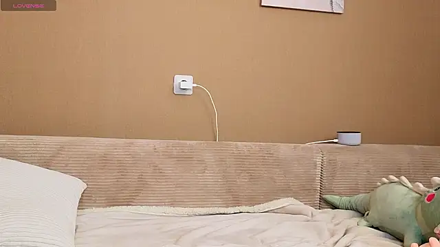 icesteam – Kamerová šou