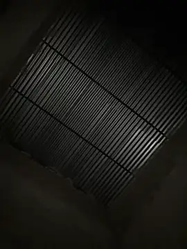 Stickmendezのウェ ブカメラショー