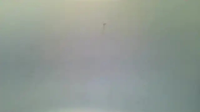 LeDukx Obrolan Langsung XXX