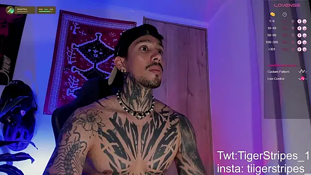 TigerStripes1_n Live XXX chat