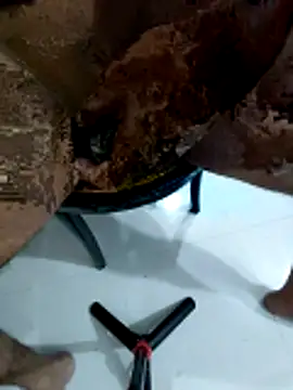 skynct2007 Webcam-Show