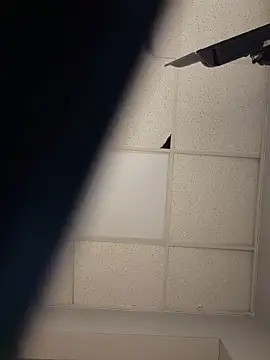 Show de webcam de THE-CHAMPLOVENIPPLES73