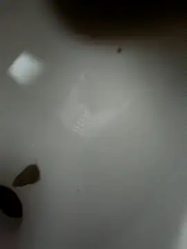 Chatroom XXX en direct de yourslave__ms