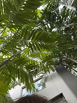 Živý XXX chat IceMur