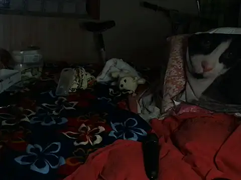 Živý XXX chat VeneRed