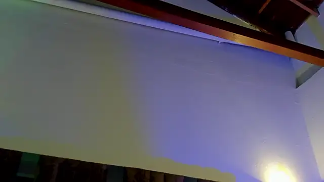 TonyPetrovjsn Webbikameraesitys