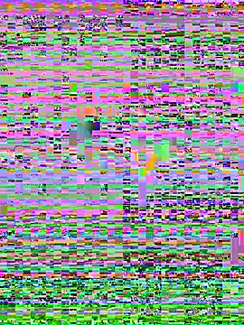 CrazyTori Chat XXX in diretta