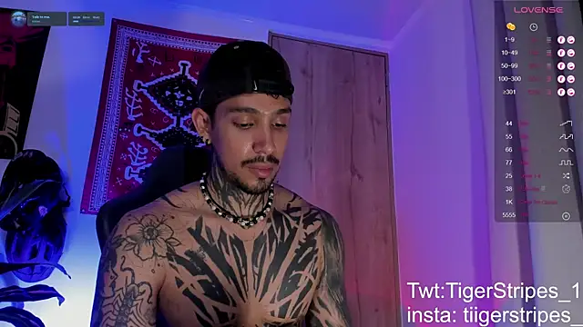 TigerStripes1_'s Live XXX Chat
