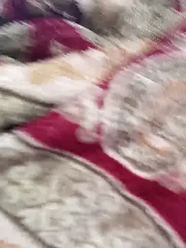 Rodrigues99 Live XXX-Chat