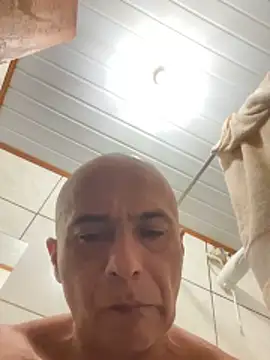 dogfrota Show Webcam