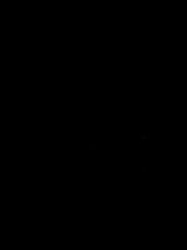 karlossan24 Show in webcam