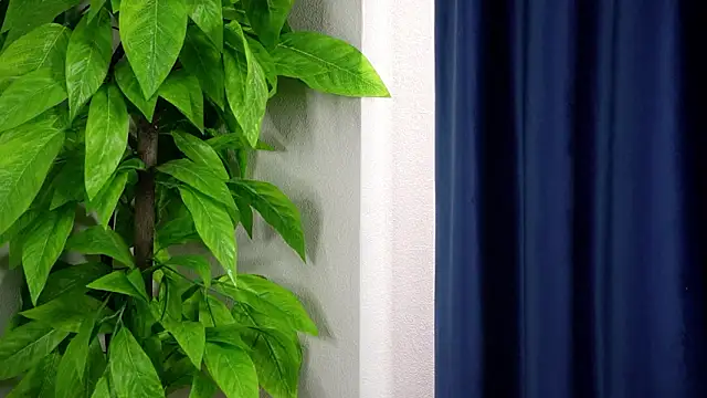 Онлайн чат XXX DixieVarlas