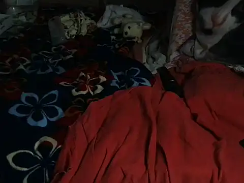 Chat XXX en directo de VeneRed