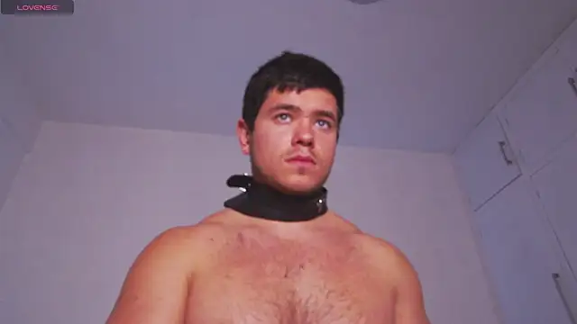 Arilas_ Live XXX-chat