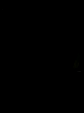 NikkiBlisss Chat XXX in diretta