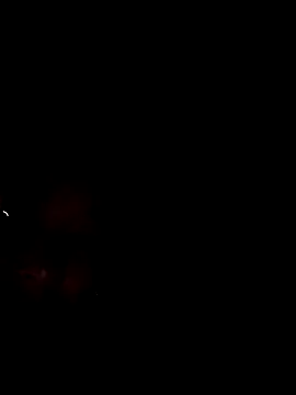 kaia-cam Obrolan Langsung XXX