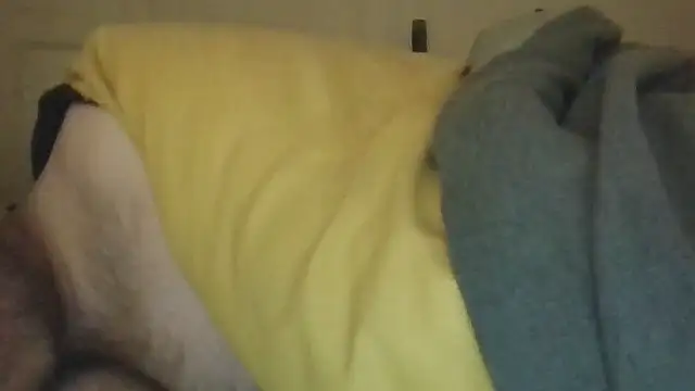 UnshodSixtiesのウェブカメラショー