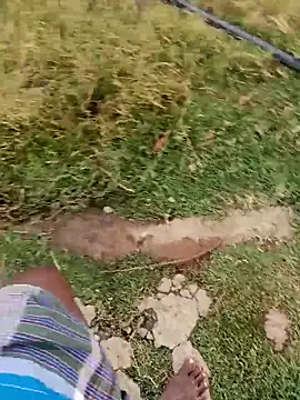 dolphiinn 在線直播表演