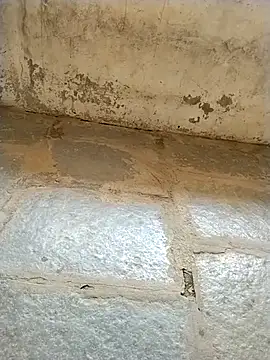 jellydicks Pertunjukan Webcam