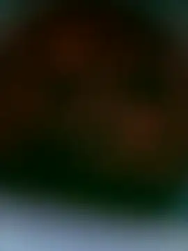 Girlsexxy-excitef – webcam-show