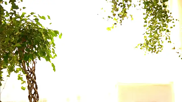 TheMaddisonShow_ 在線直播表演