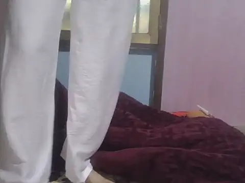 Hachi077 Show Webcam