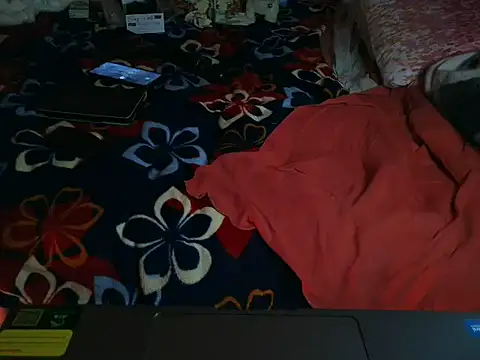 VeneRed 即時 XXX 聊天