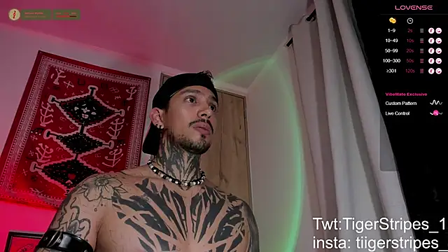 TigerStripes1_ Show Webcam