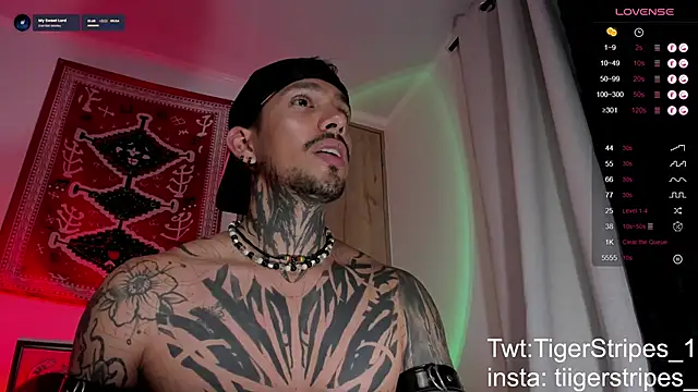 عرض كام TigerStripes1_