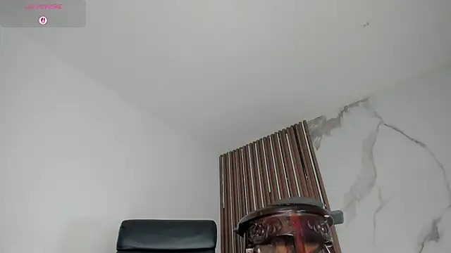 Sexual_Desirestsのウェブカメラショー