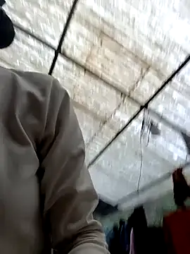 Hoa-tuylip Webcam show