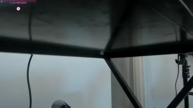 Show de ElektraBomdans na webcam