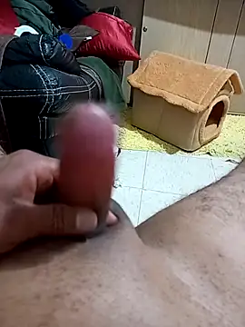 pene20cmvaginal Webcam Show