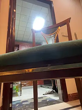 Show de petoys na webcam