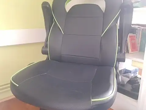 feathersify Show Webcam