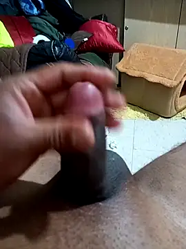 pene20cmvaginal: вебкам-шоу